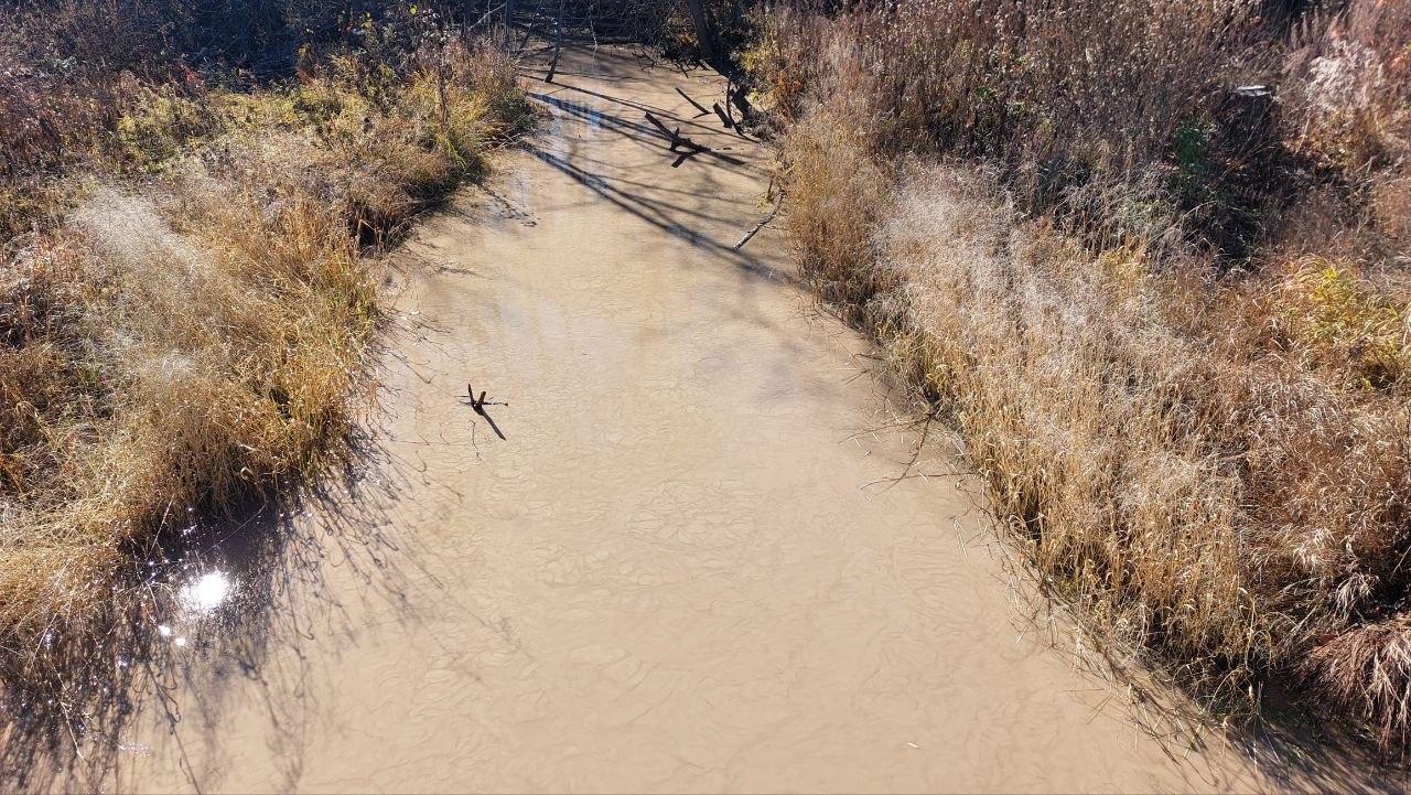 «Вода как кисель». Речку в Забайкалье сильно загрязнили, превратив её в бурую жижу