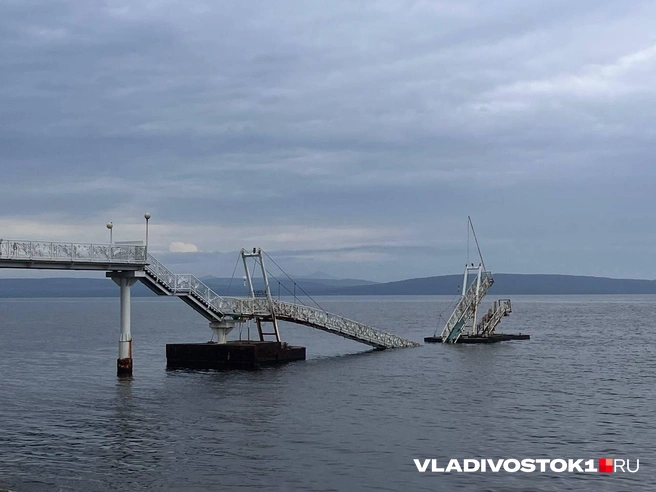 Источник: Алиса Князева / VLADIVOSTOK1.RU