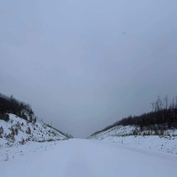 Источник: t.me/family_walk_rf