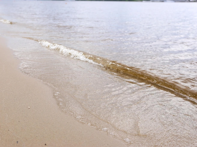 Рассмотрение дела о проблемных очистных сооружениях в Ярославской области | Источник: Алена Косточкина / 76.RU