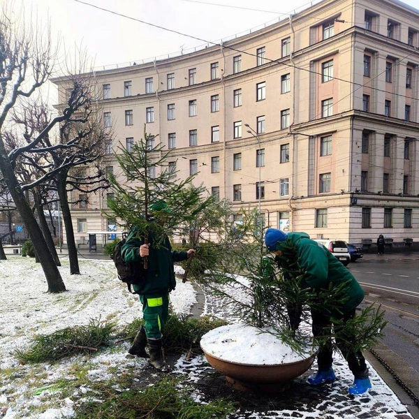 Источник: Комитет по благоустройству Санкт-Петербурга