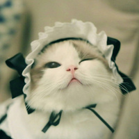 Аватарка molly