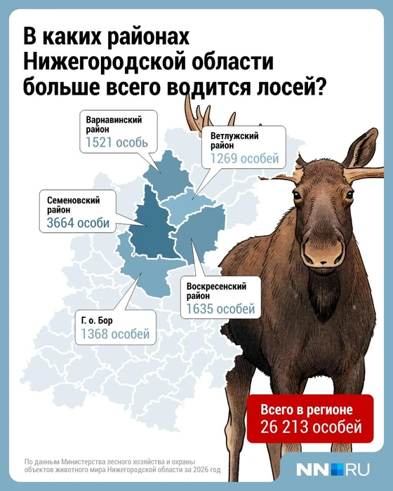 Источник: Городские медиа