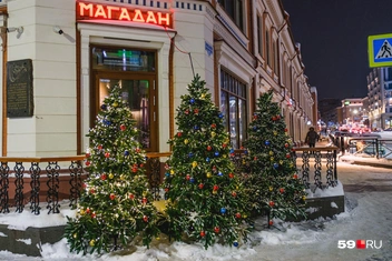 У входа в ресторан поставили три елочки | Источник: Тимофей Калмаков / 59.RU