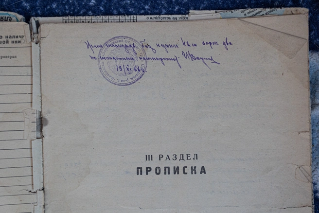 Возбуждено уголовное дело | Источник: Илья Бархатов / 74.RU