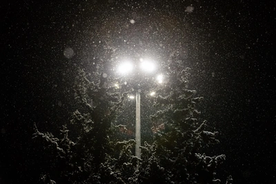 Andrey Chibis: Power Supply Restored in Severomorsk