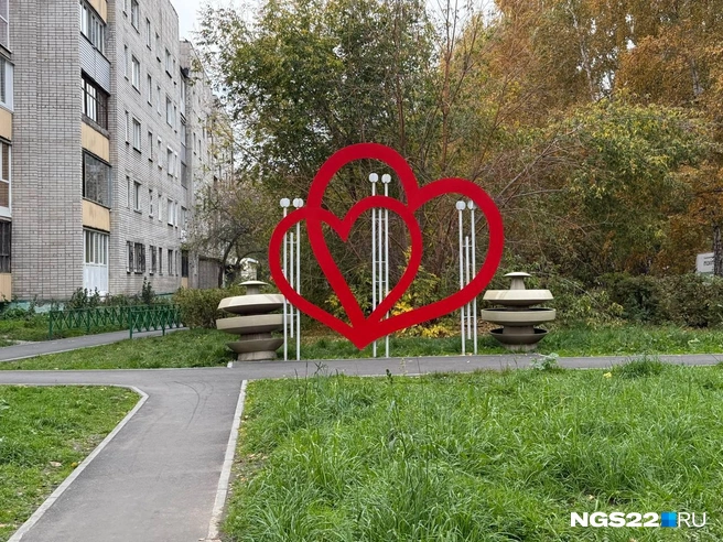 Источник: Полина Шевчукова / NGS22.RU