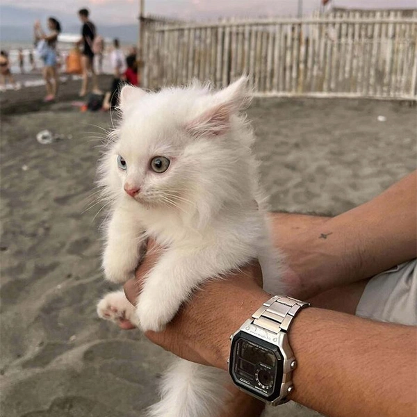 Источник: соцсети