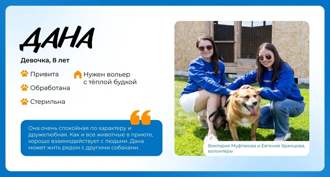 Источник: Василиса Молахова, Евгений Шаров