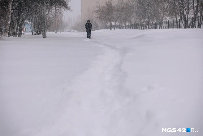 Кое-где уже успели протоптать новые | Источник: Максим Серков / NGS42.RU