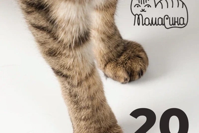 Приют «Томасина» выпустил котокалендарь на 2026 год