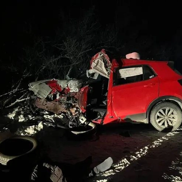 Источник: МВД