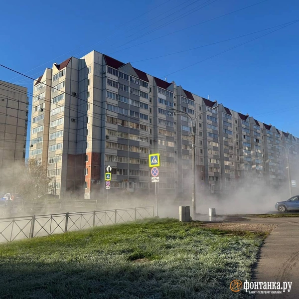 Источник: Ирина Лысак / FONTANKA.RU