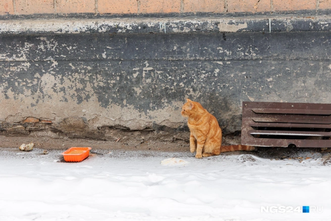 Станут ли содержать дома хуже после повышения НДС? | Источник: Мария Ленц / NGS24.RU