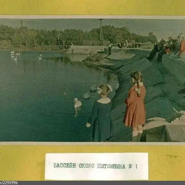 1961 год. Девочки в нарядных платьях любуются лебедями | Источник: Pastvu.com