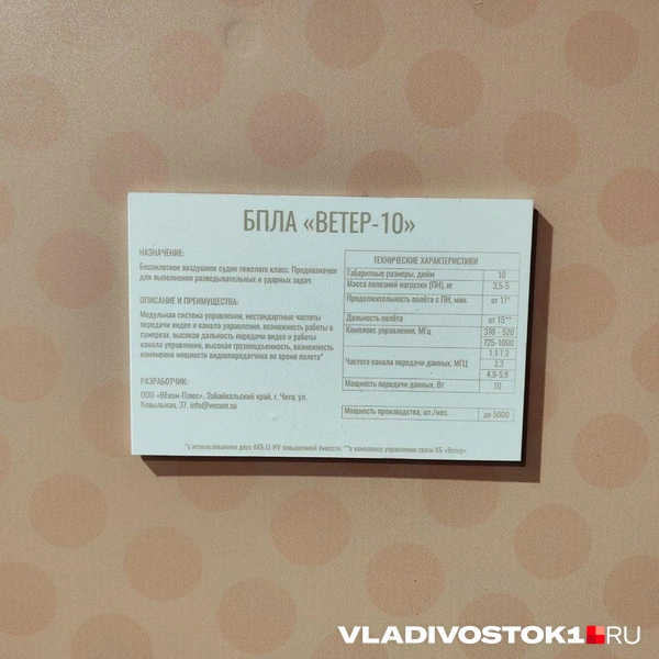 Источник: Татьяна Акишина / VLADIVOSTOK1.RU