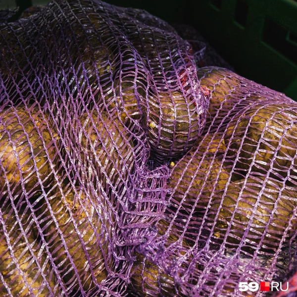 Фасованный вариант | Источник: Тимофей Калмаков / 59.RU