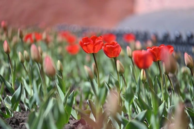 Тепло в Барнауле: прогноз погоды на ближайшие дни