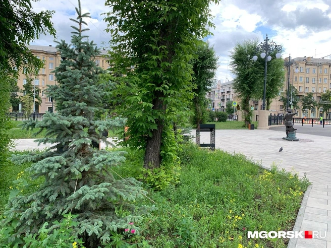 Советуем прогуляться здесь, если еще не успели | Источник: Анна Лялькова / MGORSK.RU