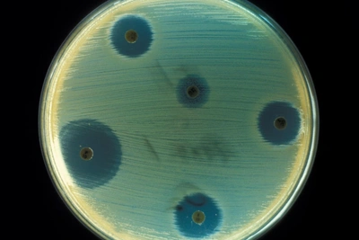 Лекция Водовозова: вся правда об антибиотиках