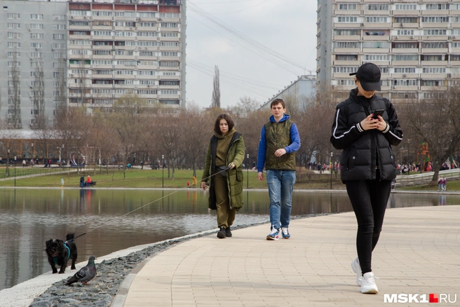 Вот бы еще и роуминг внутри страны отменить | Источник: Артем Устюжанин / MSK1.RU