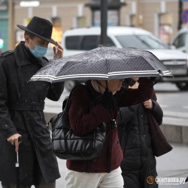 Источник: Павел Даиси / «Фонтанка.ру»