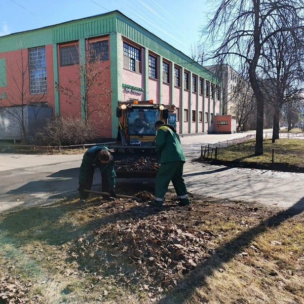 Источник: Комитет по благоустройству Санкт-Петербурга