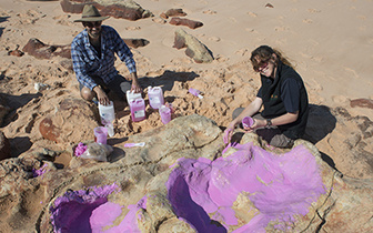 В Австралии обнаружен крупнейший след динозавра