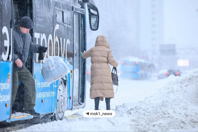 Источник: MSK1