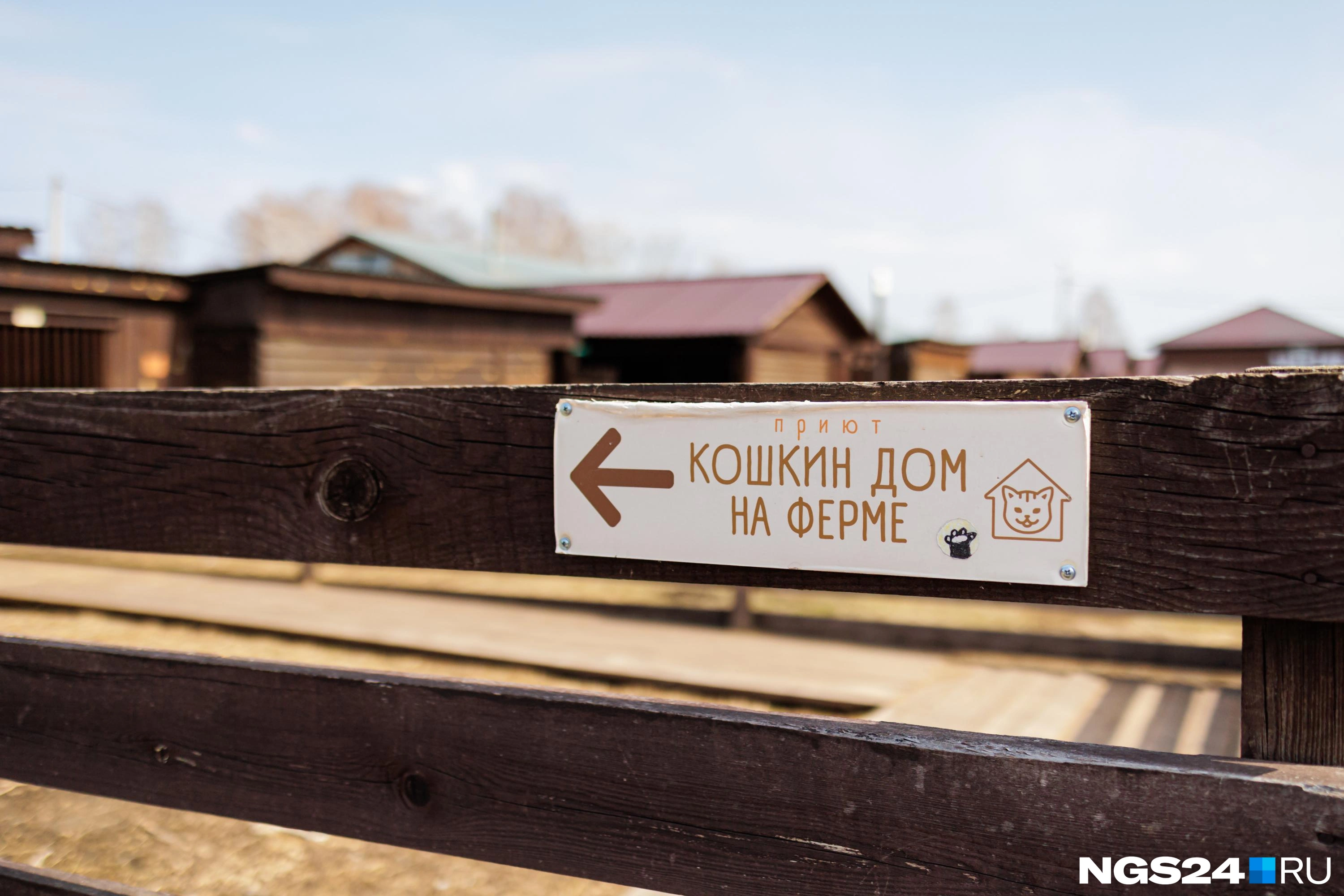 Болсуновский считает, что надо воспитывать в детях бережное отношение к животным