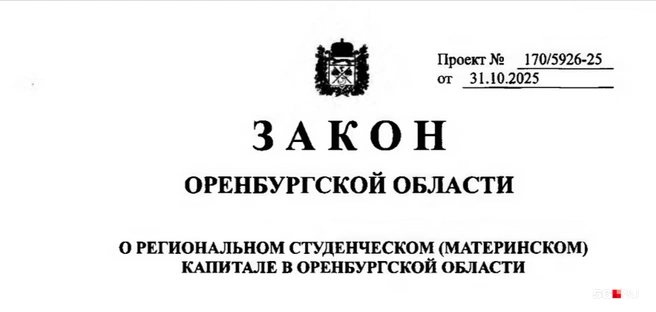Так выглядит «шапка» потенциального закона | Источник: Законодательное Собрание Оренбургской области