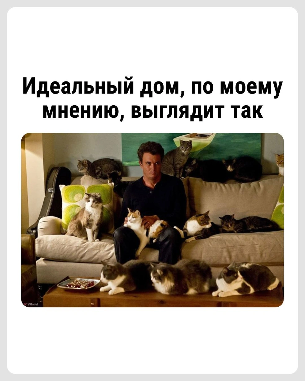 А что не так? | Источник: Городские медиа