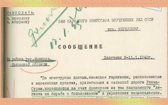 Рассекречен документ об уничтожении группы французов у Брянска в 1943 году: что рассказал пленный капрал?