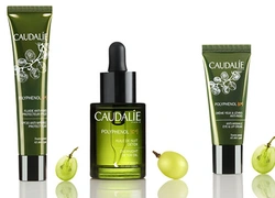 Бьюти-новинка недели: антиоксидант Polyphenol C15 от Caudalie