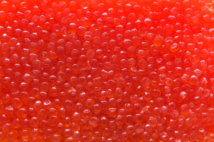 Источник: Ludmila Yagovitina via Legion Media