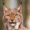 userpic__Пациент