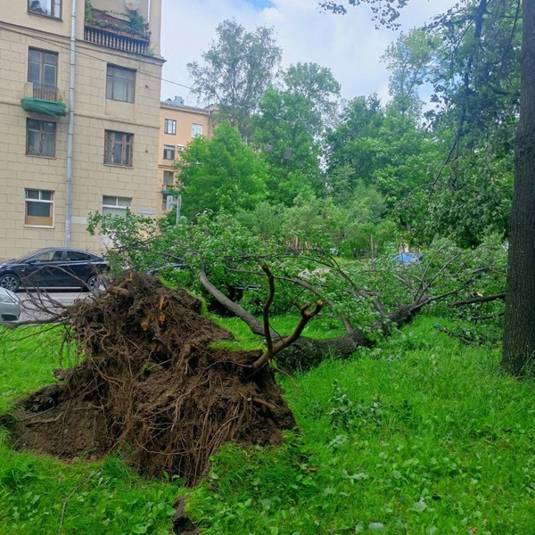 Источник: читатель «Фонтанки»