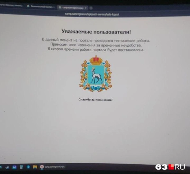 Таким был экран регионального сервиса бронирования путевок | Источник: читатель 63.RU