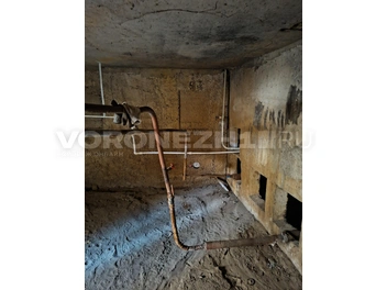 Источник: Алёна Воропаева / Voronezh1.ru