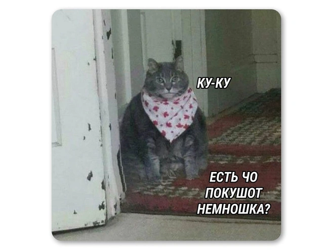 Подготовился к трапезе | Источник: Мария Романова / Городские медиа