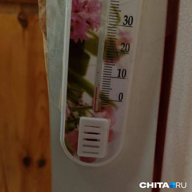 Фото градусника из садика | Источник: очевидец