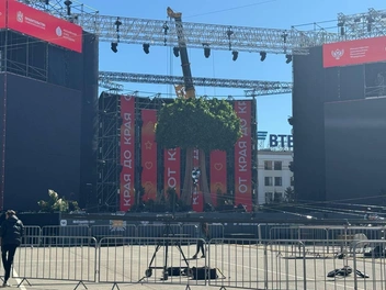 На фоне дерева фотографируются прохожие | Источник: Дарья Гранкина / 26.RU