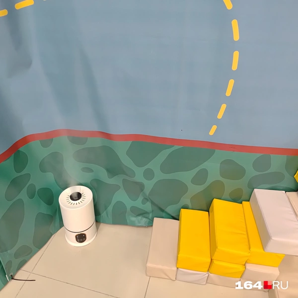 Источник: Сергей Гендин / 164.RU