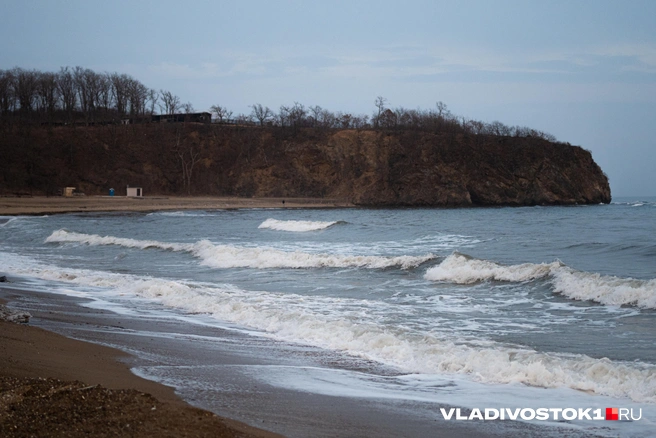Некоторые третий день строят догадки | Источник: Елена Буйвол / VLADIVOSTOK1.RU