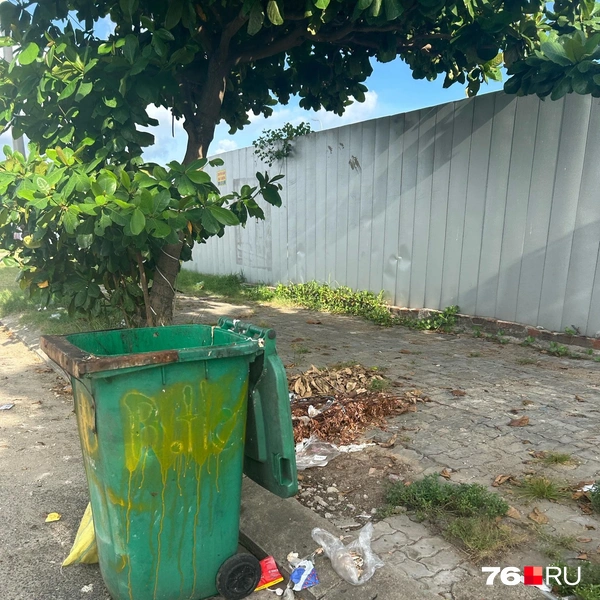 Мусор привлекает крыс и тараканов | Источник: Екатерина