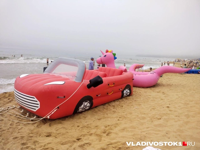 Источник: Екатерина Дымова / VLADIVOSTOK1.RU 