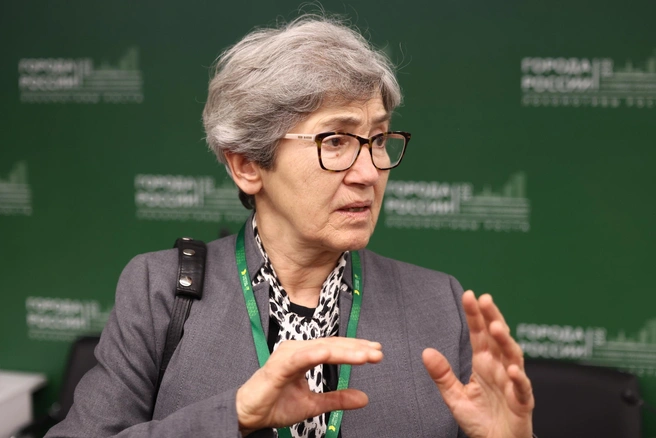 Наталья Зубаревич — один из самых медийных специалистов по экономике российских регионов | Источник: Владислав Лоншаков / E1.RU