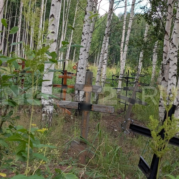Источник: NGS42.RU