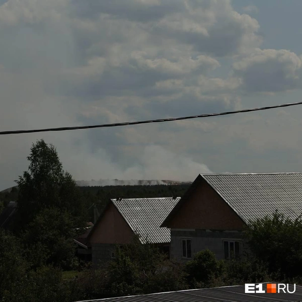 Источник: Соня Радостина / E1.RU