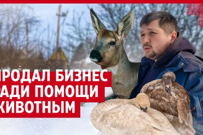 Уфимец продал бизнес ради спасения диких животных